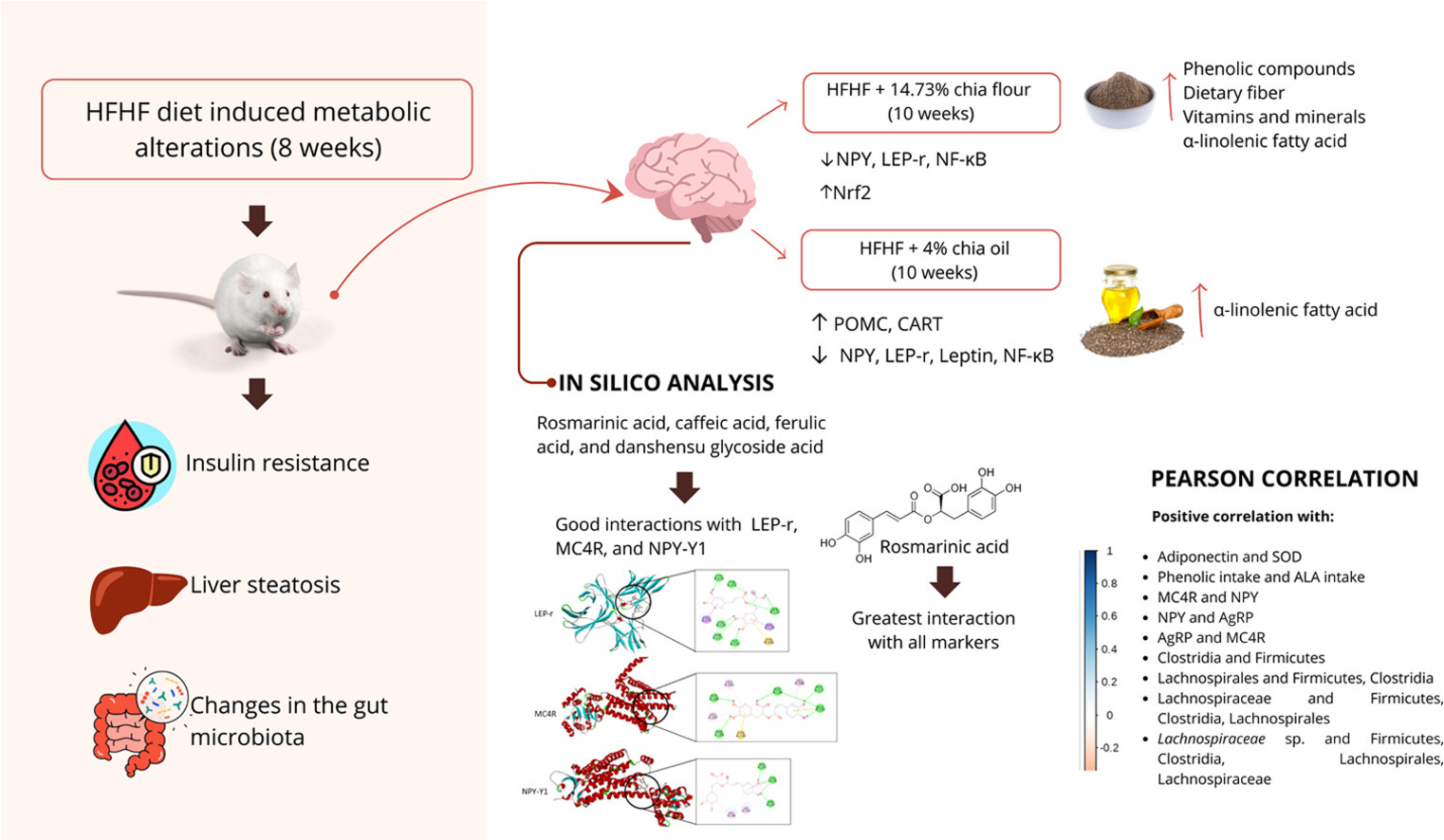 infograph
